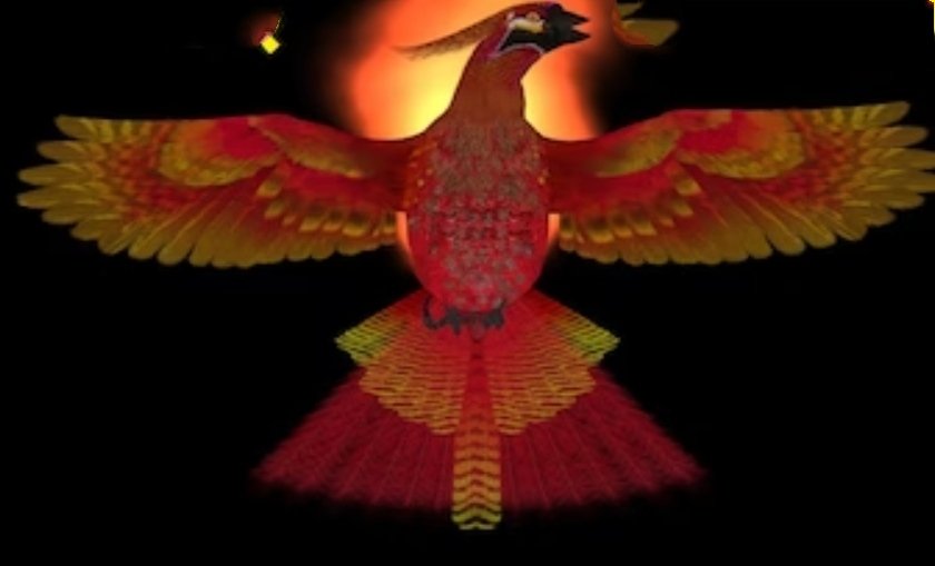 Horoscope : घर में लगाएं इस चिड़िया की तस्वीर, खुल जाएंगे बंद किस्मत के दरवाजे! 7