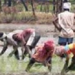 पंजाब के किसानों को बड़ी राहत