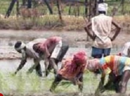 पंजाब के किसानों को बड़ी राहत