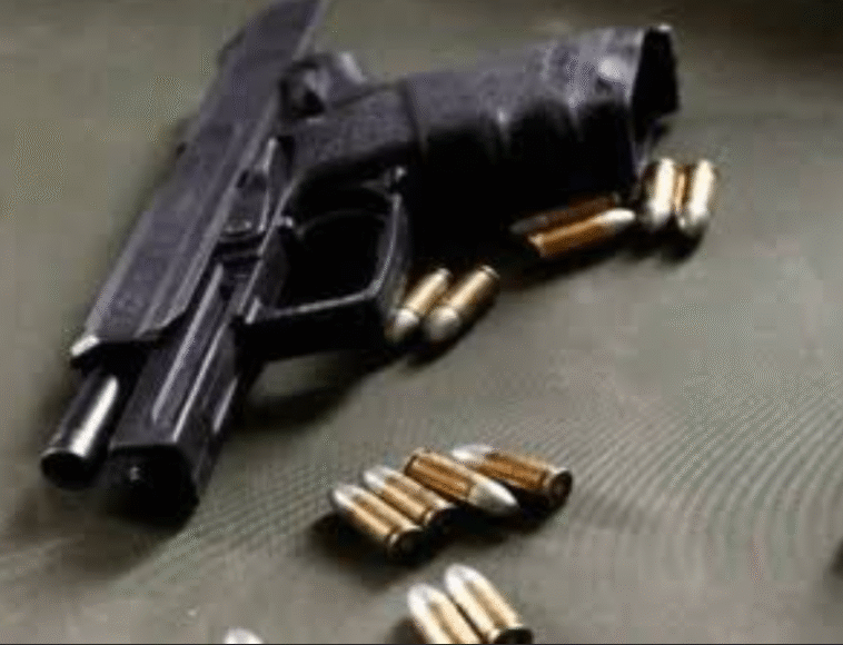 पंजाब : असलाधारकों के लिए जारी हुए आदेश