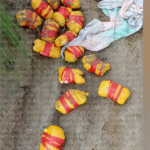 BSF के हाथ लगी बड़ी सफलता