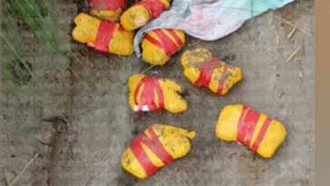 BSF के हाथ लगी बड़ी सफलता