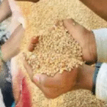 पंजाब में 17 हजार राशन डिपो से जुड़ी बड़ी खबर