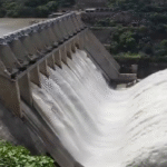 Bhakra Dam से छोड़ा गया पानी