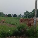 J नाम,आम आदमी पार्टी नेता ने लावल पुर काटी अवैध कॉलोनी, सरकार को लगा रहा लाखों का चुना J नाम,आम आदमी पार्टी नेता ने लावल पुर काटी अवैध कॉलोनी, सरकार को लगा रहा लाखों का चुना