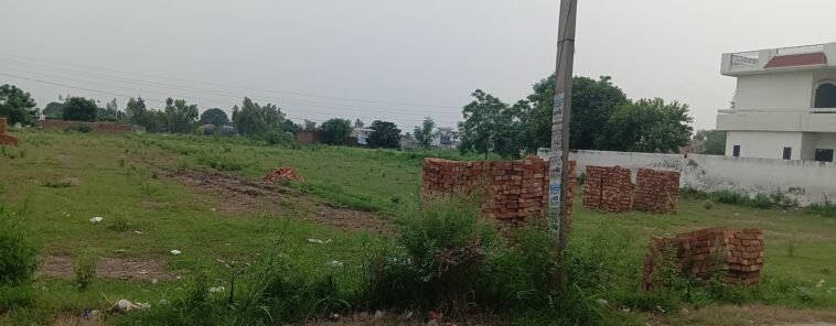 J नाम,आम आदमी पार्टी नेता ने लावल पुर काटी अवैध कॉलोनी, सरकार को लगा रहा लाखों का चुना