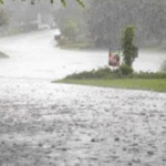 पंजाब के मौसम पर IMD का अपडेट पंजाब के मौसम पर IMD का अपडेट