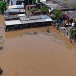 पंजाब के इस जिले में बाढ़ कारण भयानक तबाही पंजाब के इस जिले में बाढ़ कारण भयानक तबाही