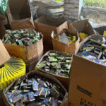 पंजाब में अवैध पटाखा कारोबार का पर्दाफाश