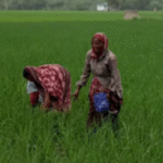 किसानों के लिए पंजाब सरकार ने जारी किए नए आदेश