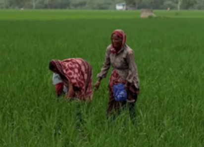 किसानों के लिए पंजाब सरकार ने जारी किए नए आदेश