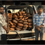 पंजाब में DRI के हाथ लगी बड़ी सफलता पंजाब में DRI के हाथ लगी बड़ी सफलता