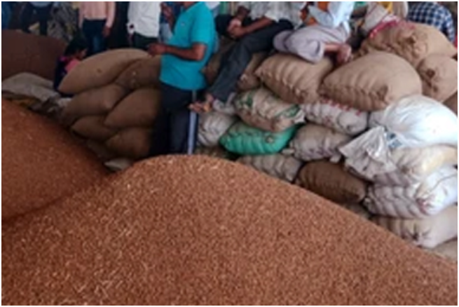 दाना मंडी में दिन दिहाड़े बड़ी घटना