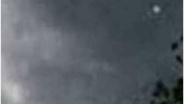 पंजाब के मौसम से संबंधित नवीनतम अपडेट