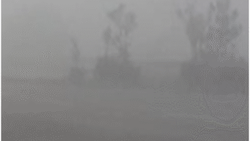 पंजाब-हरियाणा में धुंध का Yellow Alert