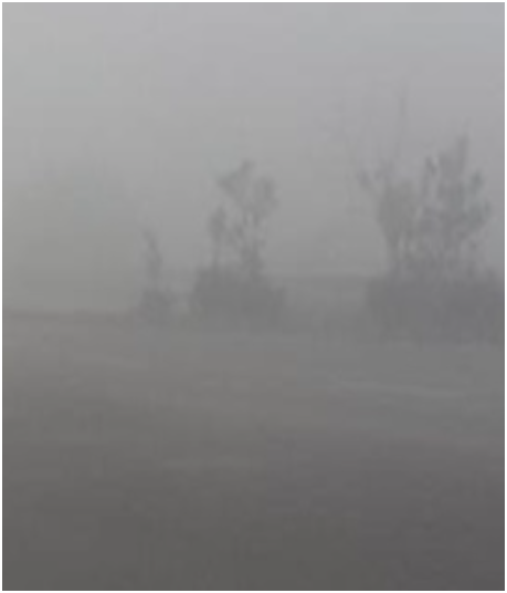 पंजाब-हरियाणा में धुंध का Yellow Alert