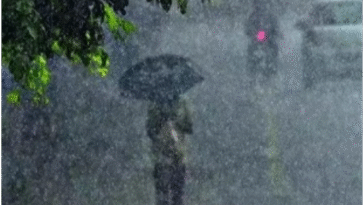 New Year पर पंजाब में होगी बारिश