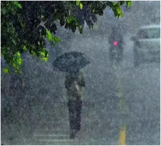 New Year पर पंजाब में होगी बारिश