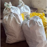 52,000 कैप्सूलों सहित 5 युवक गिरफ्तार