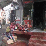 जालंधर में Pet Shop में लगी भीषण आग जालंधर में Pet Shop में लगी भीषण आग