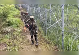 भारत-पाक सीमा पर BSF ने पाकिस्तानी युवक को पकड़ा