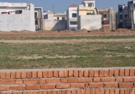 जालंधर: तलहन रोड ढिलमा मे कॉलोनाइजर, काटी अवैध कॉलोनी सरकार को लगाया करोड़ों का चुना