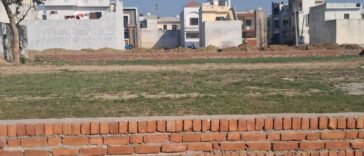 जालंधर: तलहन रोड ढिलमा मे कॉलोनाइजर, काटी अवैध कॉलोनी सरकार को लगाया करोड़ों का चुना