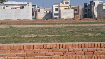 जालंधर: तलहन रोड ढिलमा मे कॉलोनाइजर, काटी अवैध कॉलोनी सरकार को लगाया करोड़ों का चुना