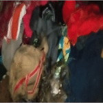 फगवाड़ा के एक घर में लगी भीषण आग