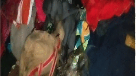 फगवाड़ा के एक घर में लगी भीषण आग