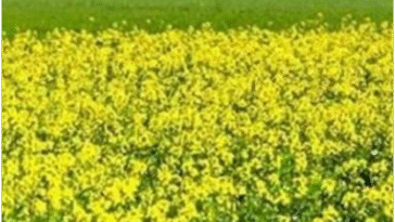 खेतीबाड़ी विभाग ने जारी की चेतावनी