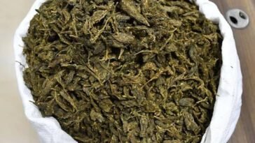 अमृतसर एयरपोर्ट पर हड़कंप