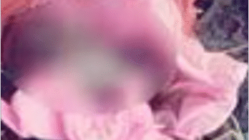 सीवरेज की सफाई के दौरान मिला इंसानी भ्रूण