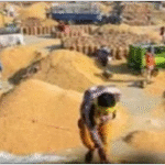 पंजाब भर की मंडियां आज से रहेंगी बंद