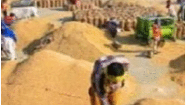 पंजाब भर की मंडियां आज से रहेंगी बंद