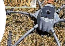 स्कूल परिसर में बरामद हुए कारतूस