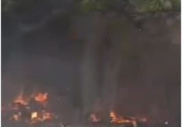 जालंधर के एक गोदाम में लगी भीषण आग