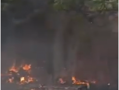 जालंधर के एक गोदाम में लगी भीषण आग