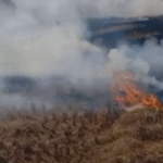 गेहूं के अवशेष जलाने के 44 मामले दर्ज