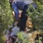 Jalandhar : कूड़े के ढेर से नवजात का श+व बरामद